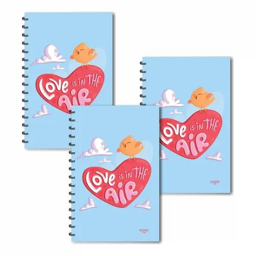 Sky Theme - Love Is In The Air Design Ruled Diaries - Pack Of 3