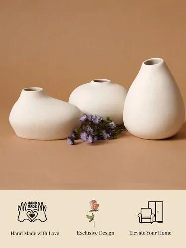 Shimizu Family Vases