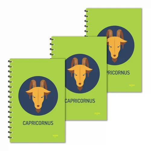 Capricorn Zodiac Ruled Diaries - Pack Of 3