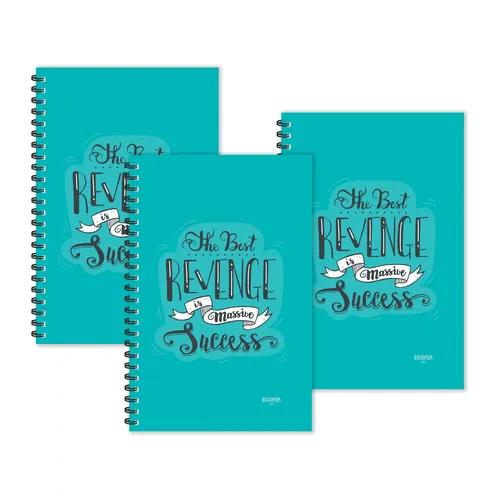 Best Revenge Is Massive Success Ruled Diaries - Pack Of 3