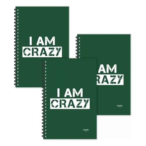 I Am Crazy Hindi Quotes Ruled Diaries - Pack Of 3