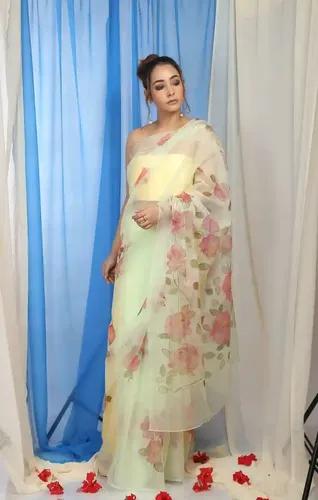 Pure Organza Hand-Painted Light Green Saree With Red Roses