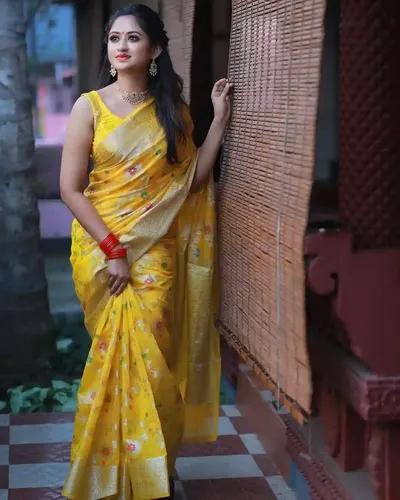 Minakari Banaras Soft Georgette Jaal Silk Saree - Yellow